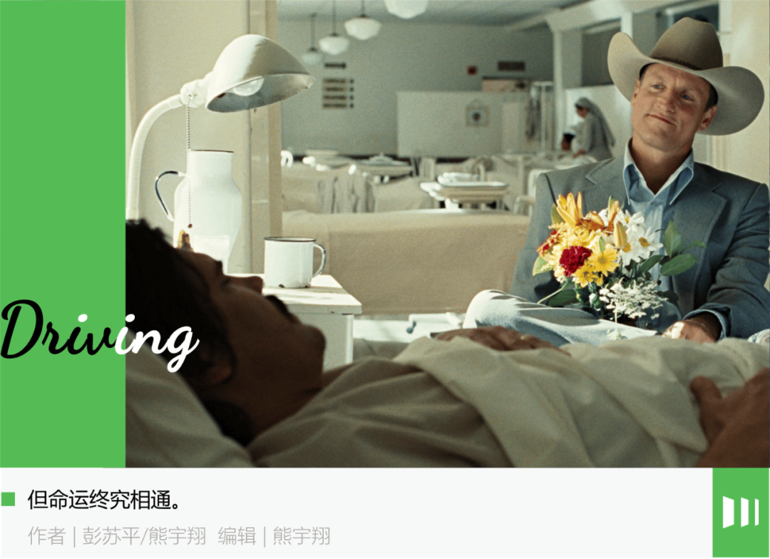 新势力的悲欢并不相同